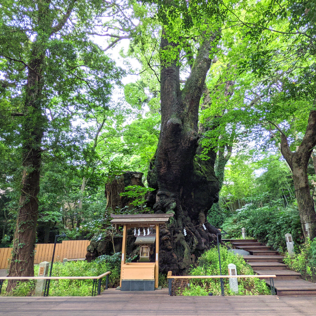 来宮神社